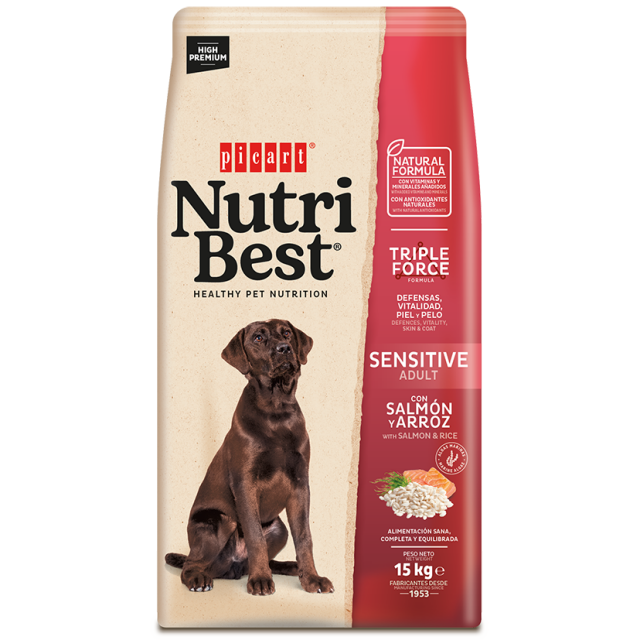 Best dog clearance food salmon